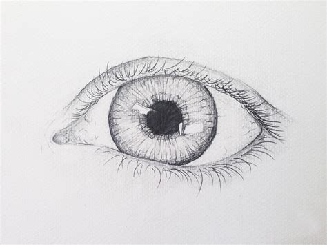 An eye. An eye is fairly easy to draw. So it is a great place for beginners who are interested in portrait drawing to start. To achieve accurate proportions with the eye, start by measuring. Draw a circle for the iris, …